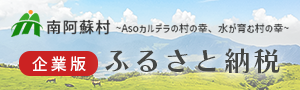 企業版ふるさと納税