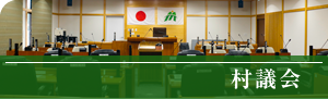 村議会